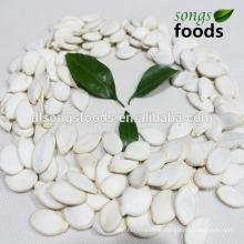 High Quality Chinese White Pumpkin Seeds, Wholesale Chia Seed